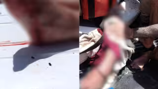 Adulto mayor sufre ataque de cocodrilo en Casa Cenote de Tulum