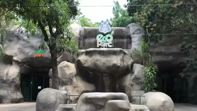 Encargados de Ecoparc pidieron a las autoridades federales hacerse cargo de la seguridad del lugar. Foto: Especial