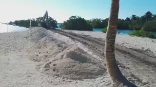 La escollera provocó la obstrucción del flujo de agua dentro de la cala