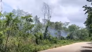 Apagón masivo deja sin luz a comunidades rurales de Bacalar