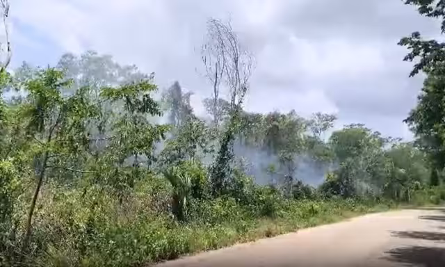 La ruptura de un cable de alta tensión provocó un apagón masivo en comunidades