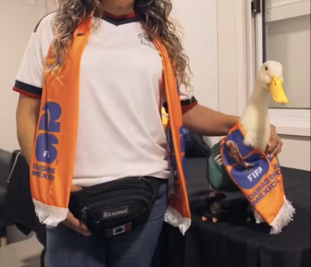 Merlín, el pato que conquistó a México y el mundo