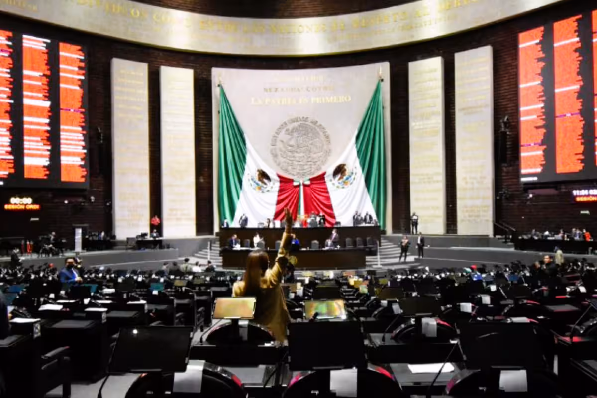 SCJN rechaza postergar reforma a la Ley Nacional sobre el Uso de la ...