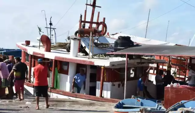 El balance al cierre del año resulta provechoso para los trabajadores de esta actividad económica