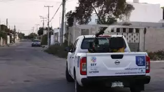 Detecta Secretaría de Salud la enfermedad en 21 municipios de Yucatán