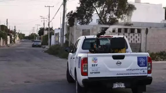 Detecta Secretaría de Salud la enfermedad en 21 municipios de Yucatán Detecta Secretaría de Salud la enfermedad en 21 municipios de Yucatán