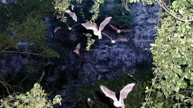 Este espectáculo puede durar entre dos y tres horas