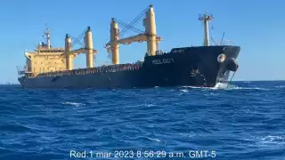 El destino final de las más de 20 mil toneladas de piedra será el kilómetro 5 de la Ruta de los Cenotes, en Puerto Morelos