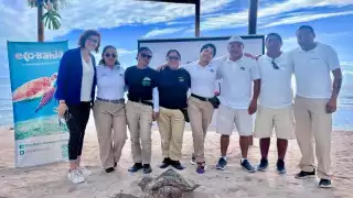 Ambientalistas logran registrar más de 1000 nidos de tortugas marinas