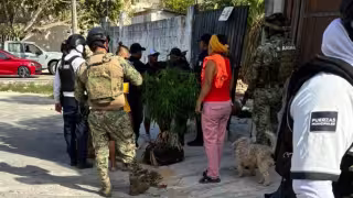 Violencia en Playa del Carmen: vigilante golpeado durante disputa de predio