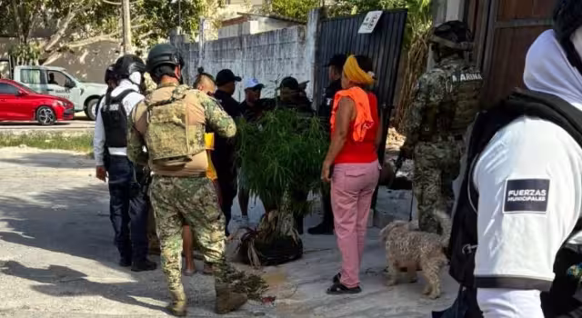 Violencia en Playa del Carmen: vigilante golpeado durante disputa de predio