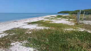 Integrantes de un campamento tortuguero en Punta San Julián alertaron sobre un intento de ocupación de playa.