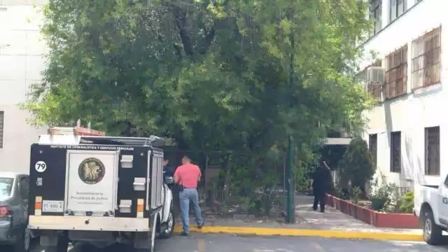 La Comisión de Búsqueda de Personas de Nuevo León ofreció una recompensa de 100 mil pesos a quien proporcione información sobre el paradero de la joven