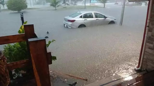 Afectados han optado por realizar limpieza de calles, desazolve de alcantarillas y más