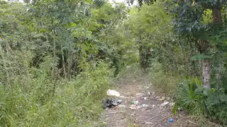 Los 8 cuerpos serán tratados en el Semefo de Merida. Foto: Por Esto!