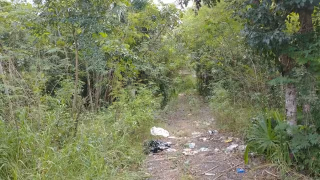 Los 8 cuerpos serán tratados en el Semefo de Merida. Foto: Por Esto!