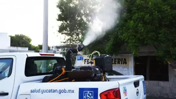 La acumulación de agua, pero también de basura, impulsa la proliferación de vectores La acumulación de agua, pero también de basura, impulsa la proliferación de vectores