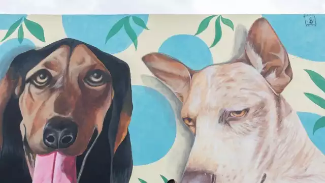 Johana Acosta compartió el amor por sus perrijos con un mural dedicado a ellos