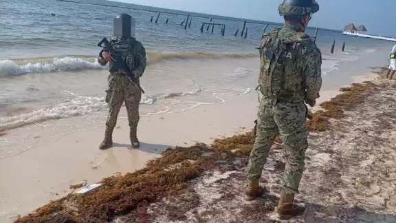 Los estupefacientes fueron trasladados y puestos a disposición de la FGR en Cancún