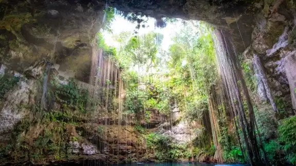 Los cenotes pueden superar los 20 metros de profundidad Los cenotes pueden superar los 20 metros de profundidad