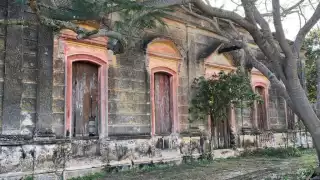 El desmantelamiento de las fabricas de sosquil puso fin al apogeo del llamado oro verde