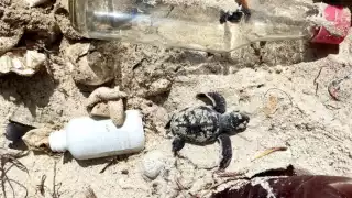 FOTO: Miguel Améndola