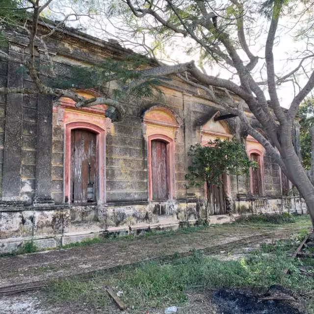 El desmantelamiento de las fabricas de sosquil puso fin al apogeo del llamado oro verde