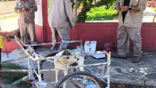 Arranca campaña de vacunación antirrábica para perros y gatos en José María Morelos