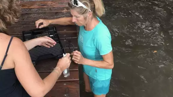 Bacalar no se encuentra aún en estado crítico, pero sí es el momento para actuar para la preservación de la laguna Bacalar no se encuentra aún en estado crítico, pero sí es el momento para actuar para la preservación de la laguna