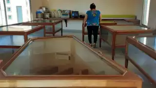 Las piezas que sobrevivieron son protegidas