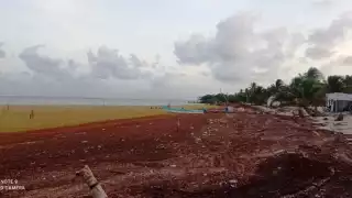 Hay desecho marino en hasta 200 metros desde la playa