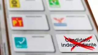Desde 2014 se permite la figura del candidato independiente en las elecciones en México
