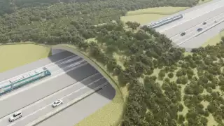 ¿Qué son los pasos de fauna y por qué se construyen en el Tren Maya?