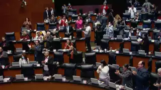 Postura del coordinador de Morena es derrotada; no se acepta la gran mayoría de las correcciones a la minuta de la Cámara Baja
