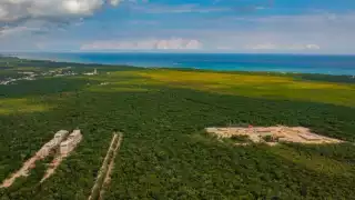¡Oficial! Gobierno de AMLO declara a la región del Jaguar, en Tulum, como Área Natural Protegida