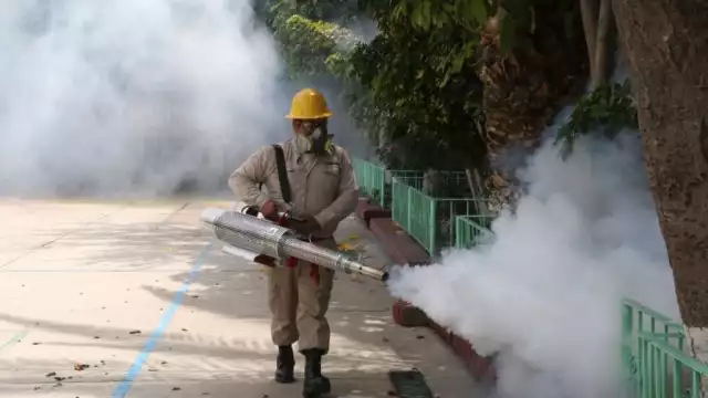 38 colonias de Mérida serán fumigadas este miércoles