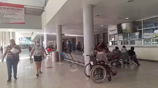 Tres nuevos casos de gusano barrenador en humanos en Yucatán reactivan la alerta