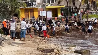 La llegada de talofita provocó la activación de un operativo de recolección en el tramo comprendido entre las calles 14 y 16, donde hubo mayor densidad