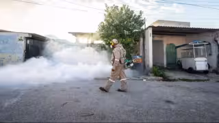 Yucatán suma 20 casos de dengue y refuerza combate al mosquito durante las lluvias