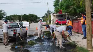 Los trabajos de la Japay se realizarán en Gran San Pedro Cholul de Mérida