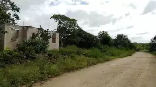 Muchos de los terrenos baldíos tienen dueños, pero no los mandan chapear