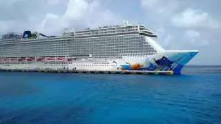 Tan solo hoy se tendrá la llegada del Independence of the Seas a la terminal SSA México, así como el Carnival Breeze y el Mardi Gras