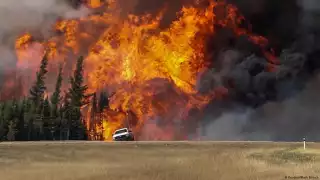 Reportan incendios forestales al norte de Canadá