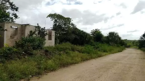 Muchos de los terrenos baldíos tienen dueños, pero no los mandan chapear Muchos de los terrenos baldíos tienen dueños, pero no los mandan chapear