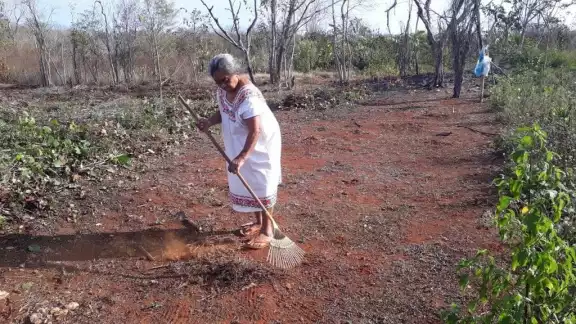 En las comunidades indígenas siguen siendo consideradas únicamente como reproductoras; pero ellas están peleando por tener derecho a ser ejidatarias
En las comunidades indígenas siguen siendo consideradas únicamente como reproductoras; pero ellas están peleando por tener derecho a ser ejidatarias