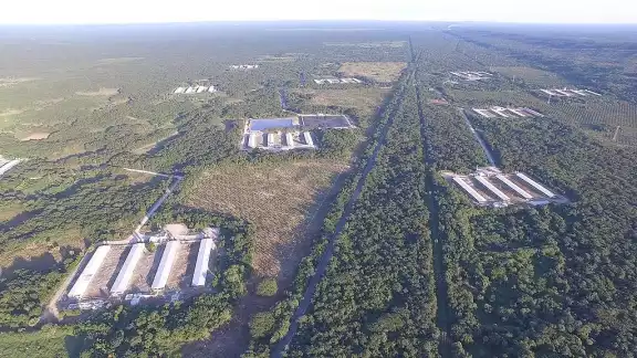 Plantas y animales de la selva son vitales para la biodiversidad