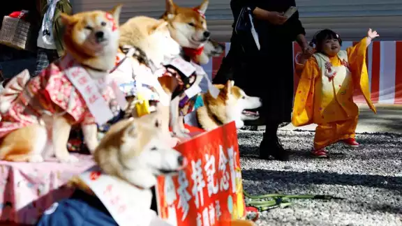 Las cosas en Japón siguen con una tasa de natalidad en picada. Foto: Especial Las cosas en Japón siguen con una tasa de natalidad en picada. Foto: Especial