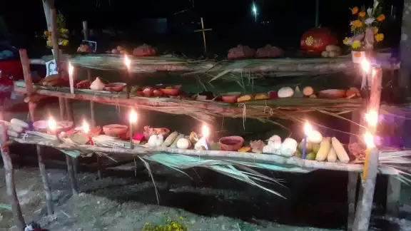 El cempasúchil para decorar los altares podría venderse caro este año