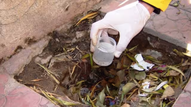 Los mosquitos transmisores del dengue se reproducen en lugares con agua estancada