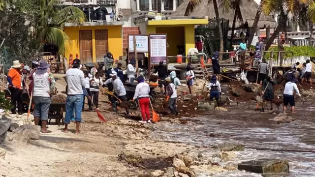 La llegada de talofita provocó la activación de un operativo de recolección en el tramo comprendido entre las calles 14 y 16, donde hubo mayor densidad